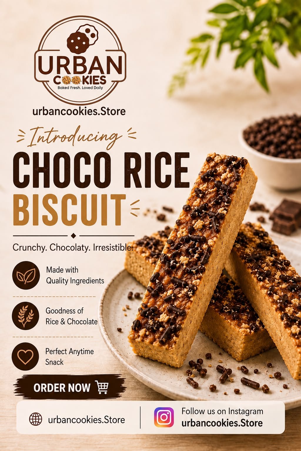 Chocos Rice Biscuits